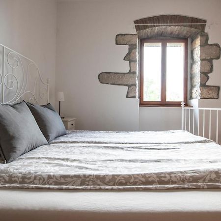 Old Town Studio And Apartment Vrsar Εξωτερικό φωτογραφία
